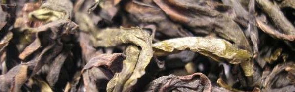 oolong oolong