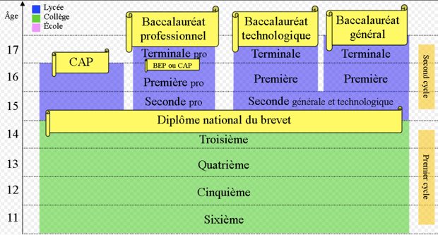 bactechno