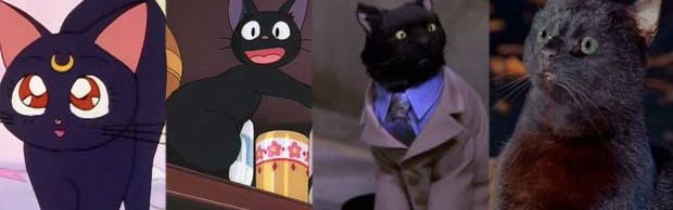 cat1 cat1