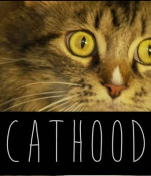cathood-parodie-boyhood-chatons