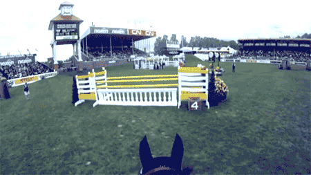 cheval2 cheval2