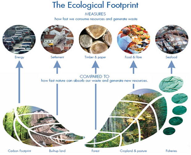 empreinte-ecologique