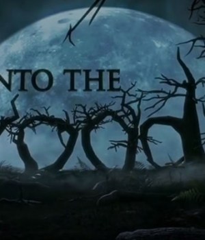 into-the-woods-disney-broadway