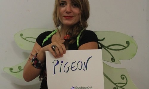 ISC-pigeon ISC-pigeon