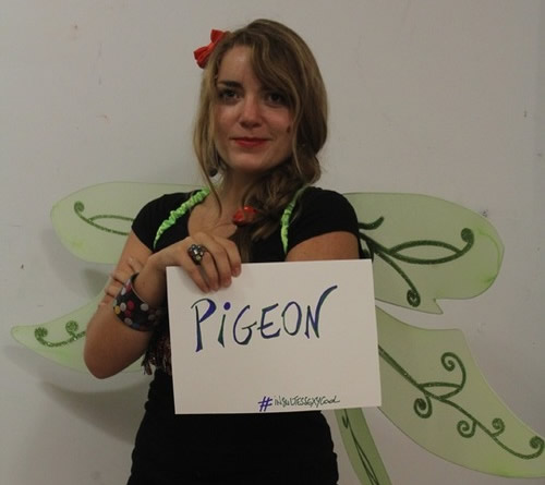 ISC-pigeon ISC-pigeon