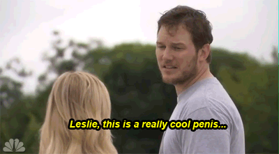 andy dwyer penis