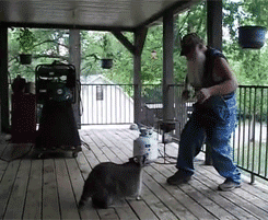 danse danse