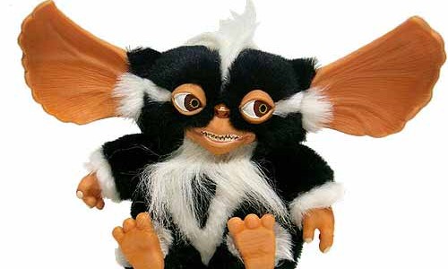 mogwai mogwai