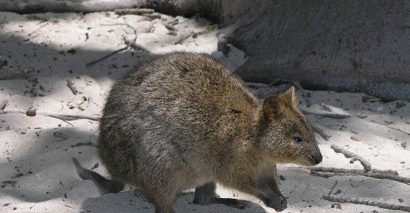 perth5 perth5