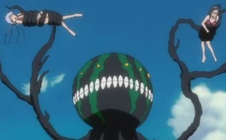bleach bleach