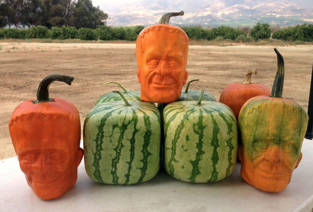 citrouille1 citrouille1