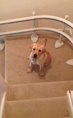escalier escalier