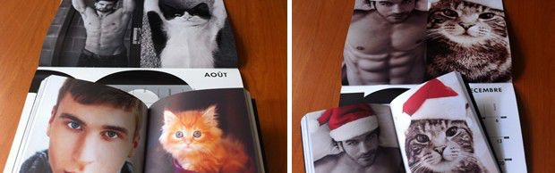 des hommes et des chatons des hommes et des chatons