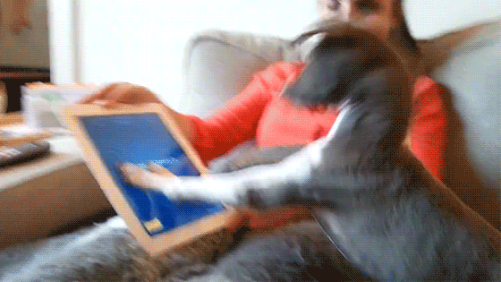 ipad ipad