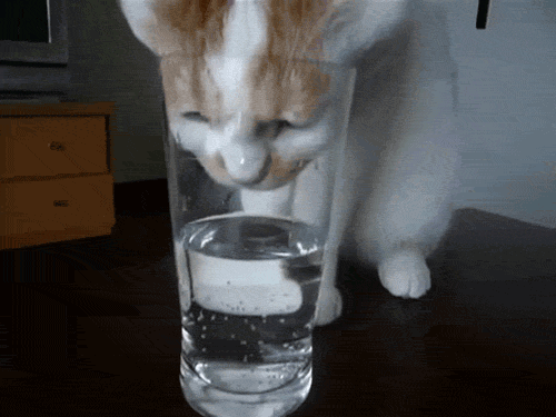 verre verre