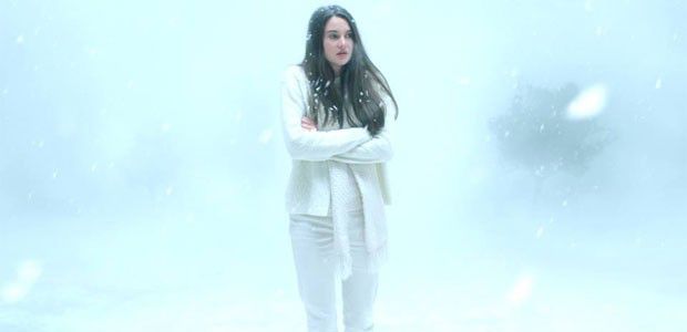 whitebird_blizzard whitebird_blizzard