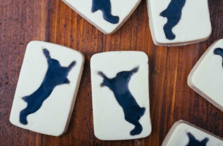 Fighting-Animal-Testing-soap-1 Fighting-Animal-Testing-soap-1