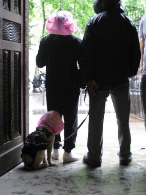 pluie_alice pluie_alice