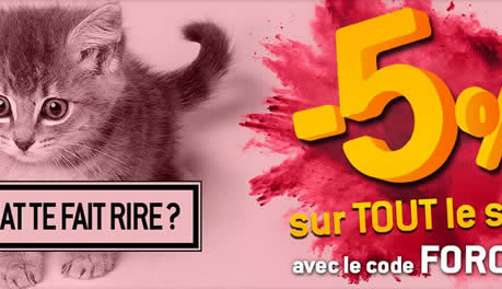 rdc-femmes-chaton rdc-femmes-chaton