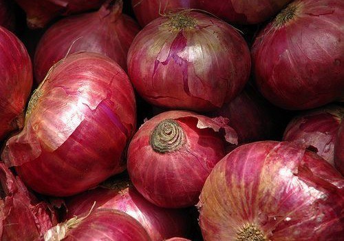 oignons oignons