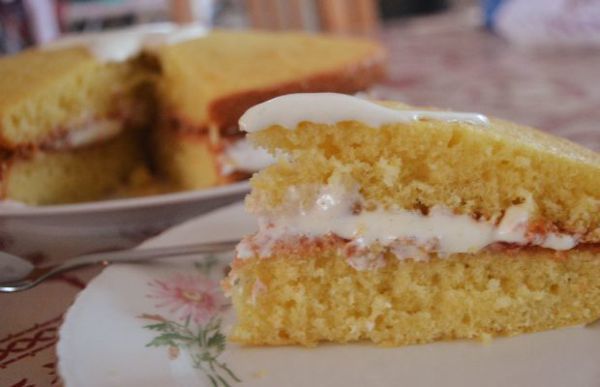 spongecake mini spongecake mini