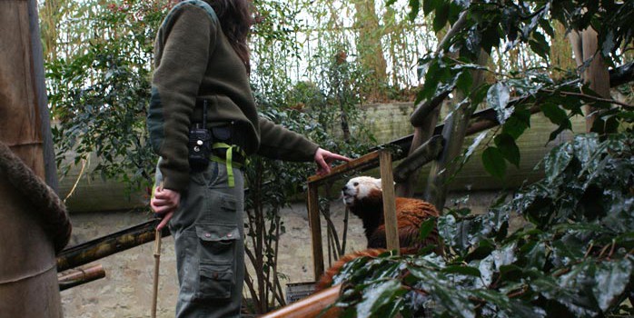 Pauline-training-panda Pauline-training-panda