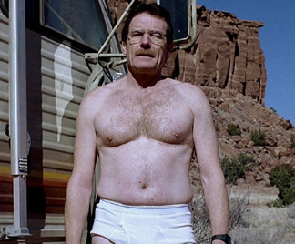 walter white en slip