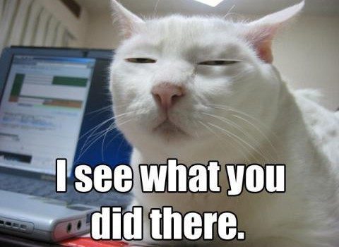lolcat i see what you did there lolcat i see what you did there