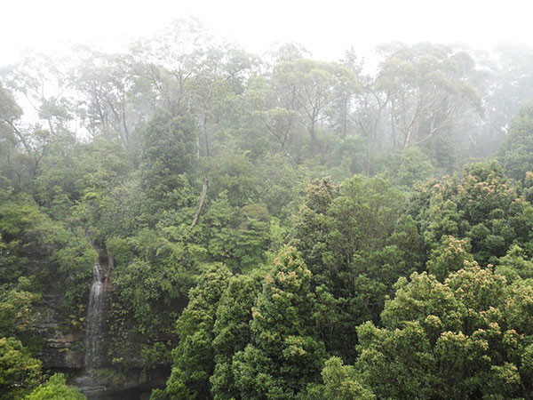 australie-blue-mountains-cascade