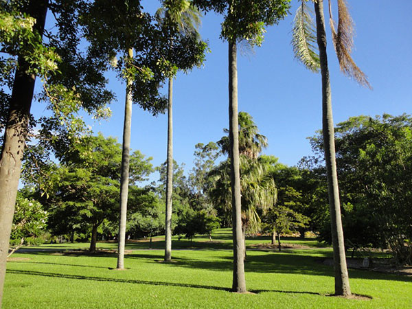 australie-brisbane-garden