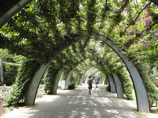 australie-brisbane-southbank