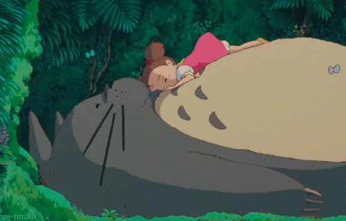 mon-voisin-totoro-gif mon-voisin-totoro-gif