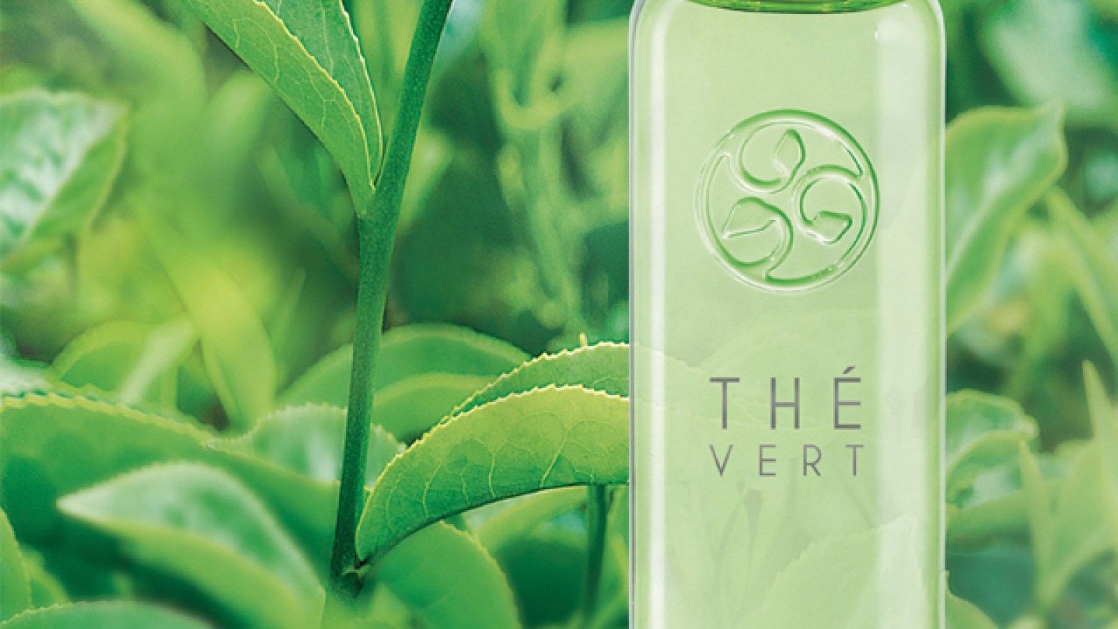 Vaporisateur Eau Fraîche Thé Vert Yves Rocher - 100 Ml, Fraîcheur Instantanée, Neuf
