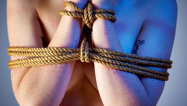 shibari shibari