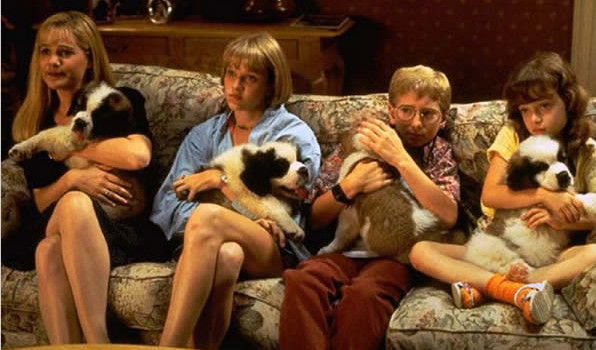 bethoven film chien bethoven film chien