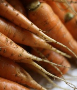 carottes-recettes