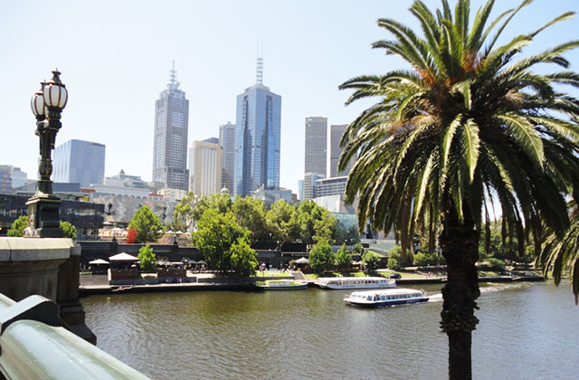 melbourne-pingouins-australie