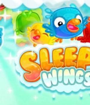 sleepy-wings-jeu-facebook