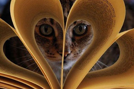 vie-chat-love-me vie-chat-love-me