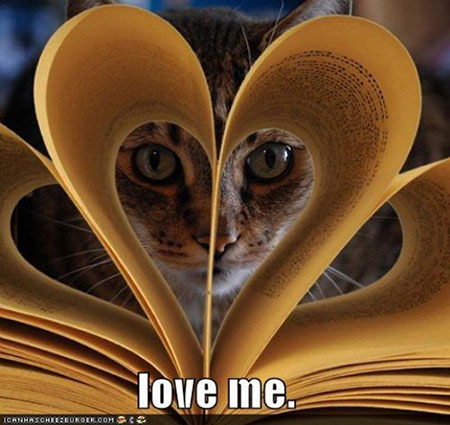 vie-chat-love-me