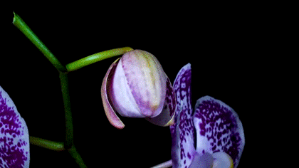 130415 130415