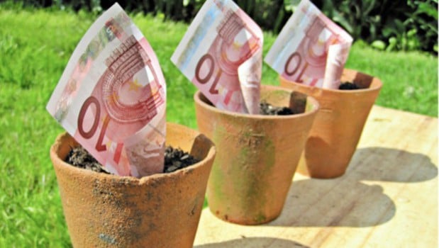 billet-plante billet-plante