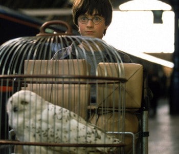 harry-edwige harry-edwige