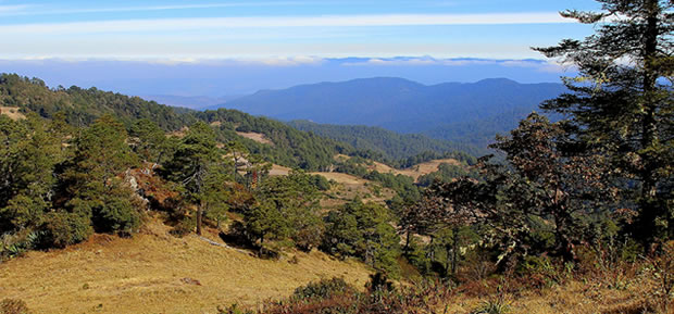 Mexique Cuajimoloyas paysage montagnes