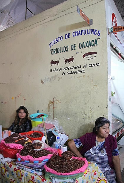 marché oaxaca sauterelles chapulines