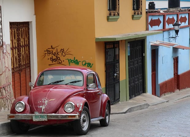 san cristobal coccinelle