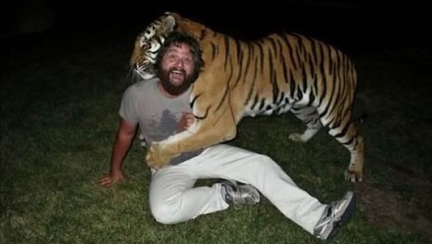 the hangover tiger alan the-hangover-tiger