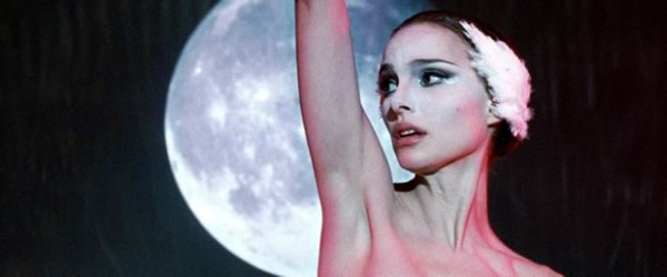 black-swan black-swan