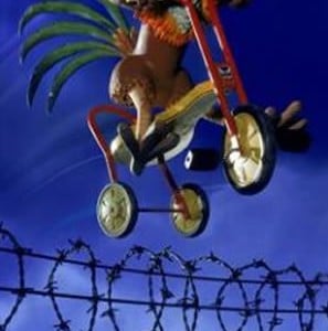 chicken run motocycle fence chiken run motocycle fence