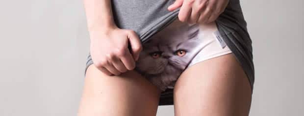 culotte-chat